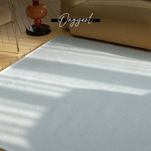 생활의 편리함과 아름다움을 더하는 완벽한 러그