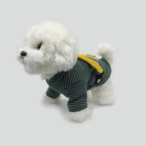 Jeremytown 가을 겨울 사계절 강아지용 하이넥 백팩 티셔츠, 그린