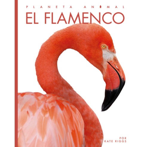 (영문도서) El Flamenco Paperback, Creative Paperbacks