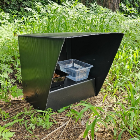 길고양이를 위한 안전한 식사 공간