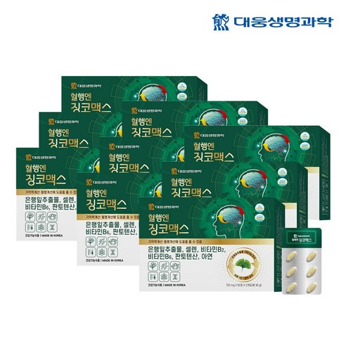 대웅생명과학 혈행엔 징코맥스 은행잎 추출물 혈행 기억력 개선에 도움을 줄수 있음, 120정, 9개