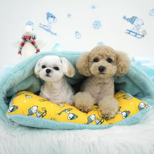 패리스독 스노우 멀티 침낭, 겨울을 따뜻하게! 다재다능 멀티템으로 댕댕이와 행복한 겨울을.