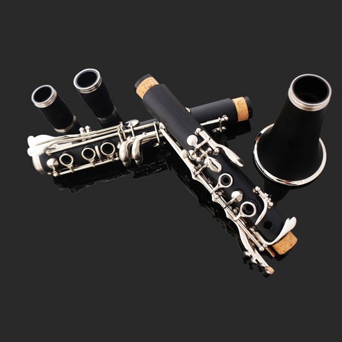 B13 클라리넷, 음악의 첫걸음을 위한 완벽한 선택