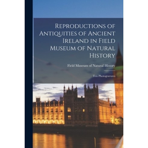 (영문도서) Reproductions of Antiquities of Ancient Ireland in Field Museum of Natural History: Ten Photo... Paperback, Hassell Street Press, English, 9781015290747
