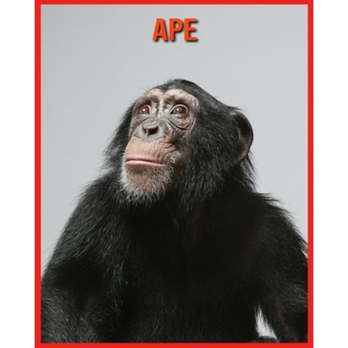 Ape: Childrens Book Amazing Facts & Pictures about Ape Paperback, Independently Published, English, 9798706849887