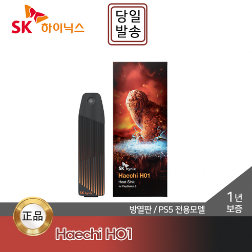 SK하이닉스 Haechi H01 Heat Sink for PS5 전용 방열판 -SSD 미포함-, 1개