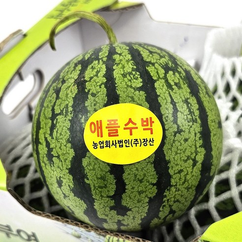 갤러리아팜스 제주 애플망고 3kg 당일수확 농장직송, 왕미니망고3kg(16~20과), 1개 꼬마애플망고 8 깍아먹는 애플수박, 8개, 900g(중소과)