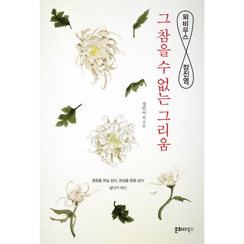 뫼비우스 장진영 그 참을 수 없는 그리움, 문화다북스