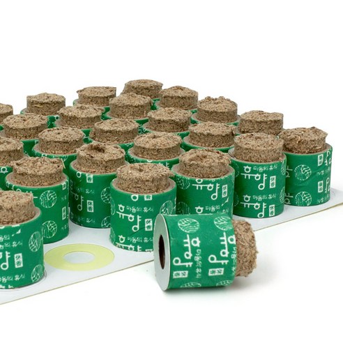 간편하고 안전한 쑥뜸, 건강을 위한 현명한 선택