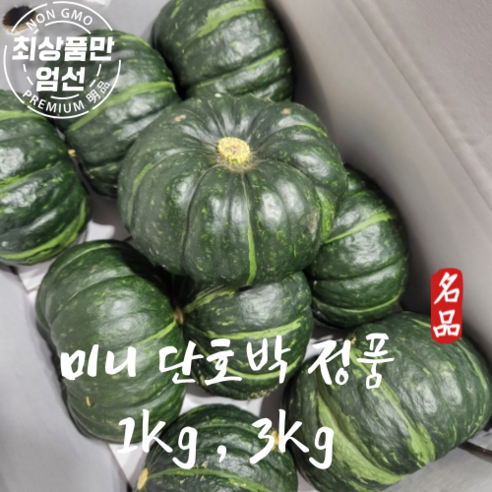 [마지막수량] 국산 해남 달콤파근 미니단호박 미니밤호박 꿀단지 1kg 3kg, 1개, 특상품 미니단호박 3KG(5~12)