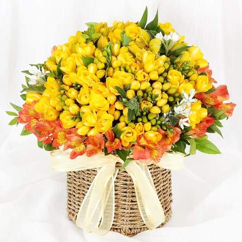 [OKㅣ강추] 사랑의 향기를 담은 99플라워 프리지아, 마음속 꽃밭을 피워주세요 [OKNOWㅣ추천상품]