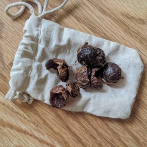 자연의 힘으로 깨끗하게, 에코존 소프넛 천연 세탁세제