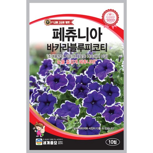 페츄니아(바카라블루피코티) 10립 세계종묘 페츄니아(바카라블루피코티) 꽃씨앗, 1봉