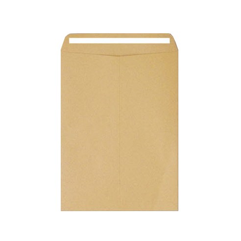 A4 사이즈 테이프 접착식 서류봉투 245 x 330 mm, 500개 
카드/엽서/봉투