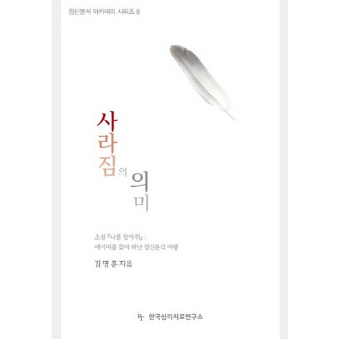 사라짐의 의미:소설 나를 찾아줘 : 에이미를 찾아 떠난 정신분석 여행, 한국심리치료연구소