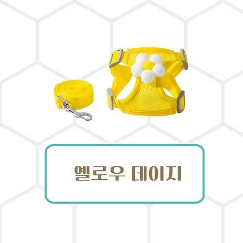 레이미데이 매쉬 하네스로 댕댕이 여름 산책 시원하게!