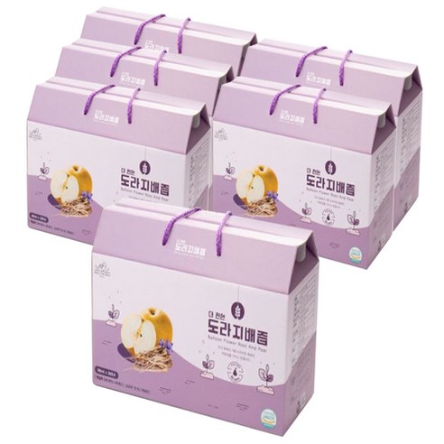 진안고원농산 더 진한 도라지 배즙, 2.7L, 5개