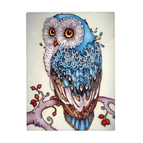 오늘의오브제 DIY 보석십자수 패브릭 원단형 35x25cm, 2_45_행운을 부르는 부엉이, 1개