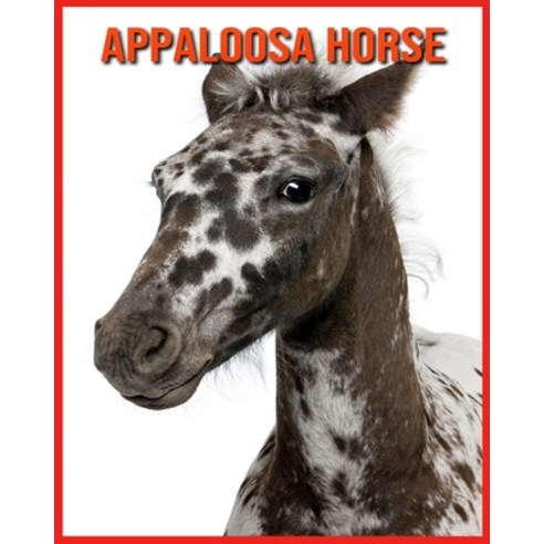 Appaloosa Horse: Amazing Pictures and Facts About Appaloosa Horse Paperback, Independently Published, English, 9798706859701