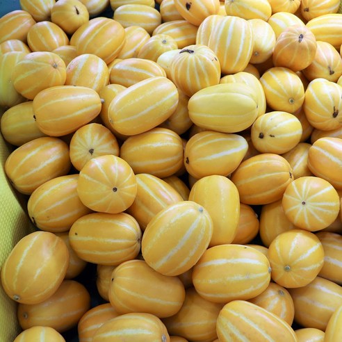 제철 성주참외, 여름의 달콤한 선물