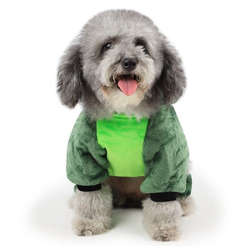 따뜻한 동물 후드 원피스 애견 강아지 고양이 옷 WI058DG, 공룡
