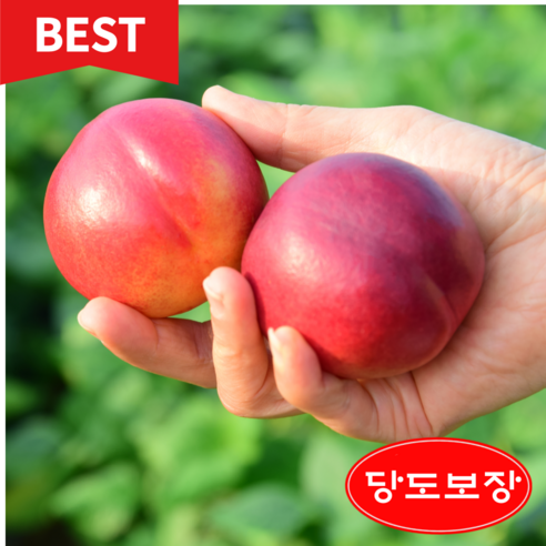 (고당도보장) 천도복숭아 당도선별품 농협공판장 직송 정품, 3kg/왕특-한계 크기(12-18과), 1개  Best 5