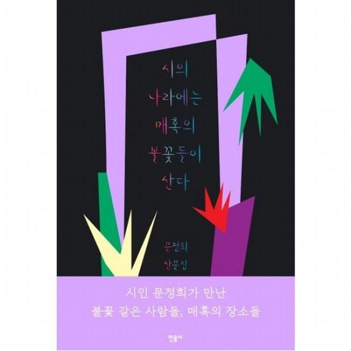 시의 나라에는 매혹의 불꽃들이 산다 : 문정희 산문집 시인 문정희가 만난 불꽃 같은 사람들 매혹의 장소들, 없음