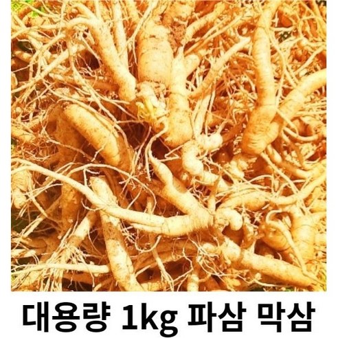 인삼 수삼 5년근 인삼 세척인삼 1kg 인삼뿌리 인삼파삼금산인삼 못난이인삼 세척수삼 인삼가정용, 세척 파삼 1kg, 1개