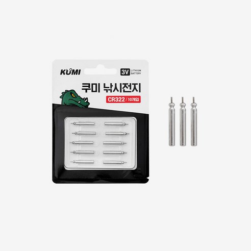 레저킹 낚시전지 CR322 10개입, 2세트