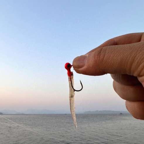 작은 고추가 맵다! 사백어 웜으로 락피쉬 낚시 손맛 제대로 보세요!