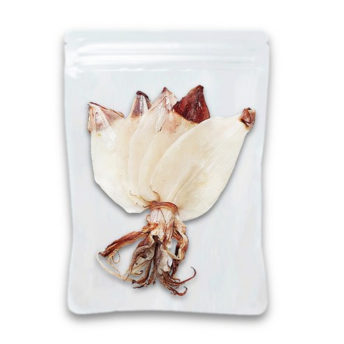 썬푸드 한치땅콩55g 5봉지, 20개 Best Top5 10 바다모아 AAA 한치 반건조한치 마른한치 M 5마리, 반건조 한치 (중) AAA급 5마리, 1개