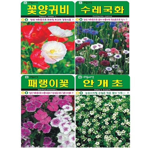 꽃 야생화 씨앗 4종 (꽃양귀비+수레국화+패랭이꽃+안개초), 1세트