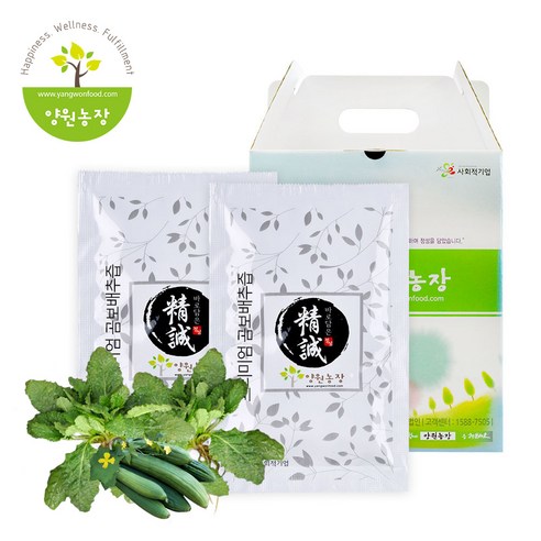 프리미엄곰보배추즙 50포x2박스, 2개, 4L