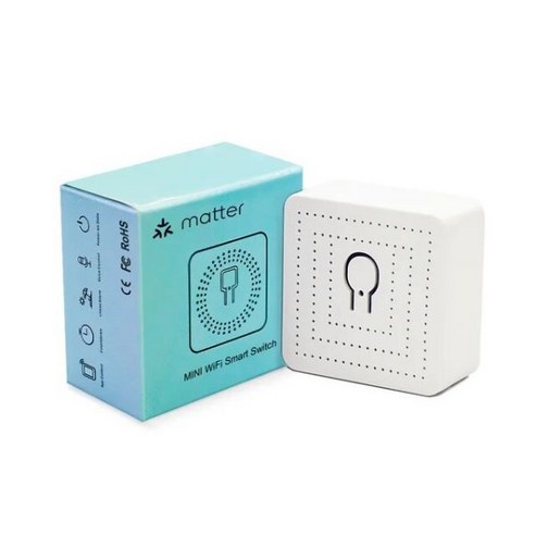 IOT 전등 스마트 스위치 Matter WiFi 에어컨 선풍기 TV 무선 릴레이 모듈 Ewelink 알렉사 홈킷 구글 홈과 작동 AC 110V 220V 16A 439660, Matter Smart Switch, 1) Matter Smart Switch