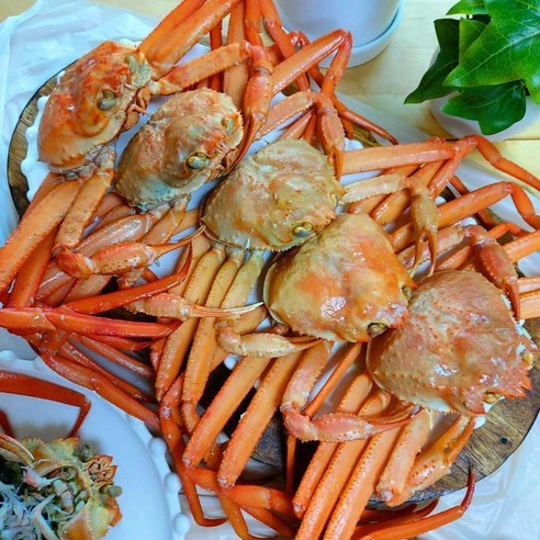 대게  실속형 비품 홍게 가성비 6K (몸통수율 40% 다리수율 60% 내외), 실속형 비품홍게 6K (17~20미)