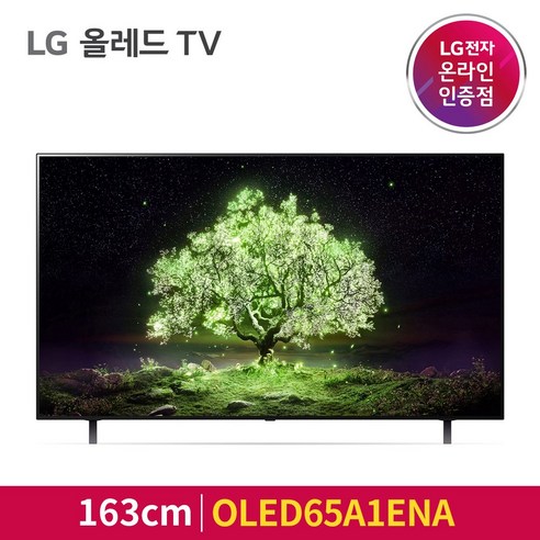 LG전자 4K UHD OLED 올레드 TV, 163cm(65인치), 스탠드형, 스탠드형, 방문설치