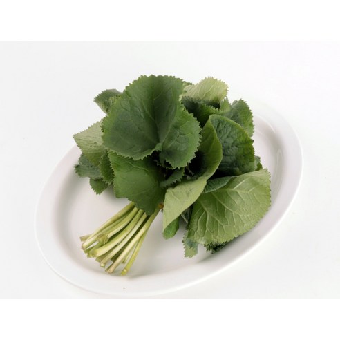 하늘채농원 강원도 봄제철 산나물 곰취 자연산 참두릅 산두릅 엄나무순(개두릅), 1개, 곰취 2kg