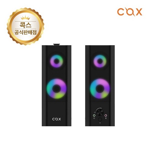 COX CSB60 2채널 분리형 스피커, 1