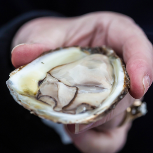 통영의 신선한 입망 석화굴로 건강하고 맛있는 식사를 즐기세요!