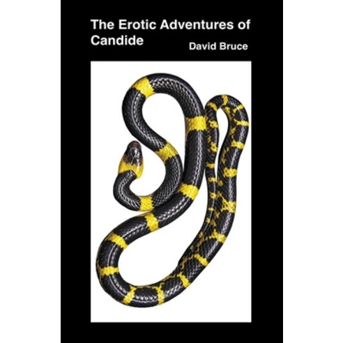 (영문도서) The Erotic Adventures of Candide Paperback, David Bruce, English, 9798201980900