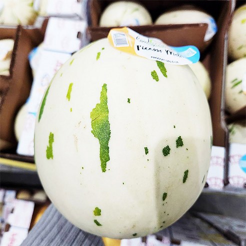미국 메론 피카소 멜론 허니듀, 1개, 1.5kg