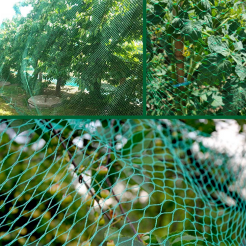 탐스러운 결실을 지키는 든든한 보호막, 아바노 새그물망