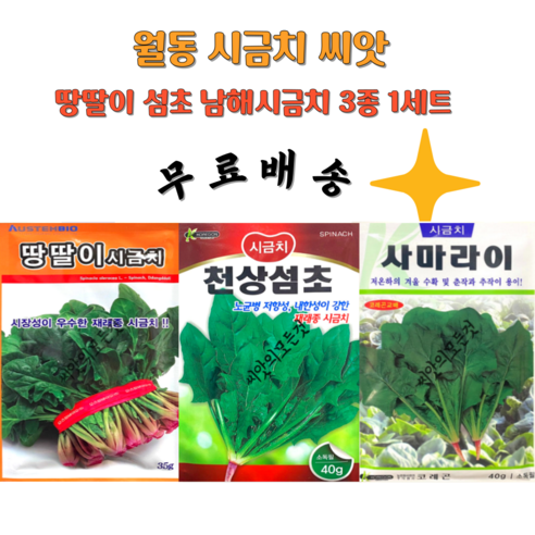 월동 시금치씨앗 겨울시금치종자 남해시금치씨 3봉 1세트