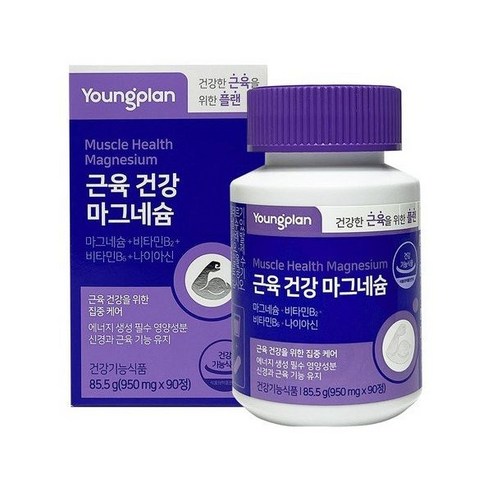 영진약품 영플랜 근육건강 마그네슘 950mg*90정 239022, 3개, 90정