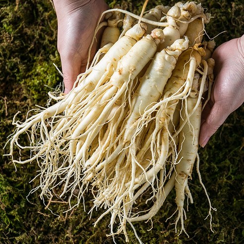 금산 인삼 세척삼 원수삼 삼계삼 난발삼 750g 350g 300g 한채 뿌리삼 동강이 실속삼 1kg 못난이 파삼 막삼 엑기스용 인삼차 수삼 삼, 1개