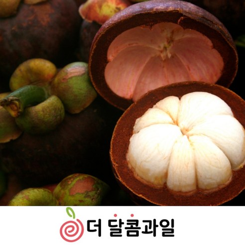 망고스틴 초고당도 열대과일 생과, 1개, 1망(500g내외)