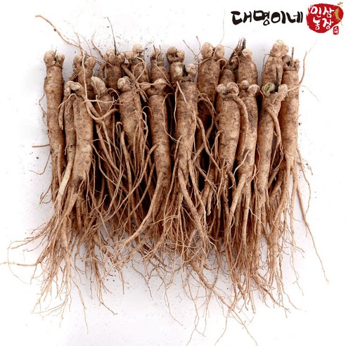 한국산 5년근 6년근 금산인삼 세척/무세척 혼합, 가정용 수삼, 원삼 20뿌리-750g, 1개 수삼한채