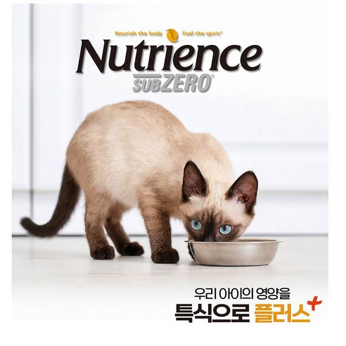 고양이의 건강하고 활기찬 삶을 위한 고품질, 모든 연령 고양이용 고양이 사료