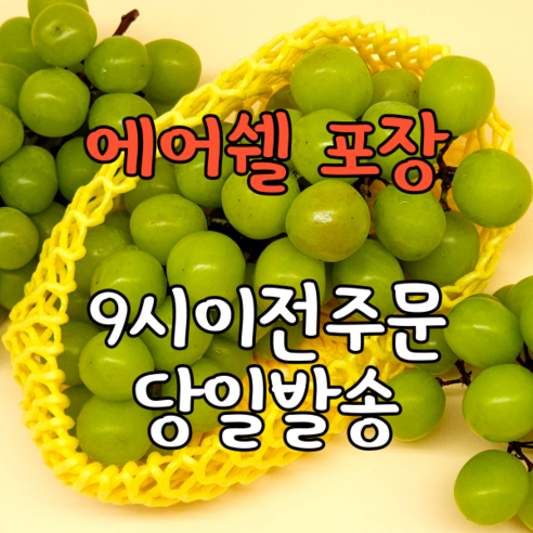 신선하고 달콤한 맛의 경산 영천 김천 샤인머스캣 선물세트