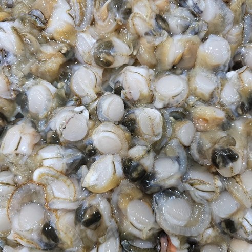 산지직송 국산 순살 깐 세척 가리비로 더 맛있고 편리한 요리 경험